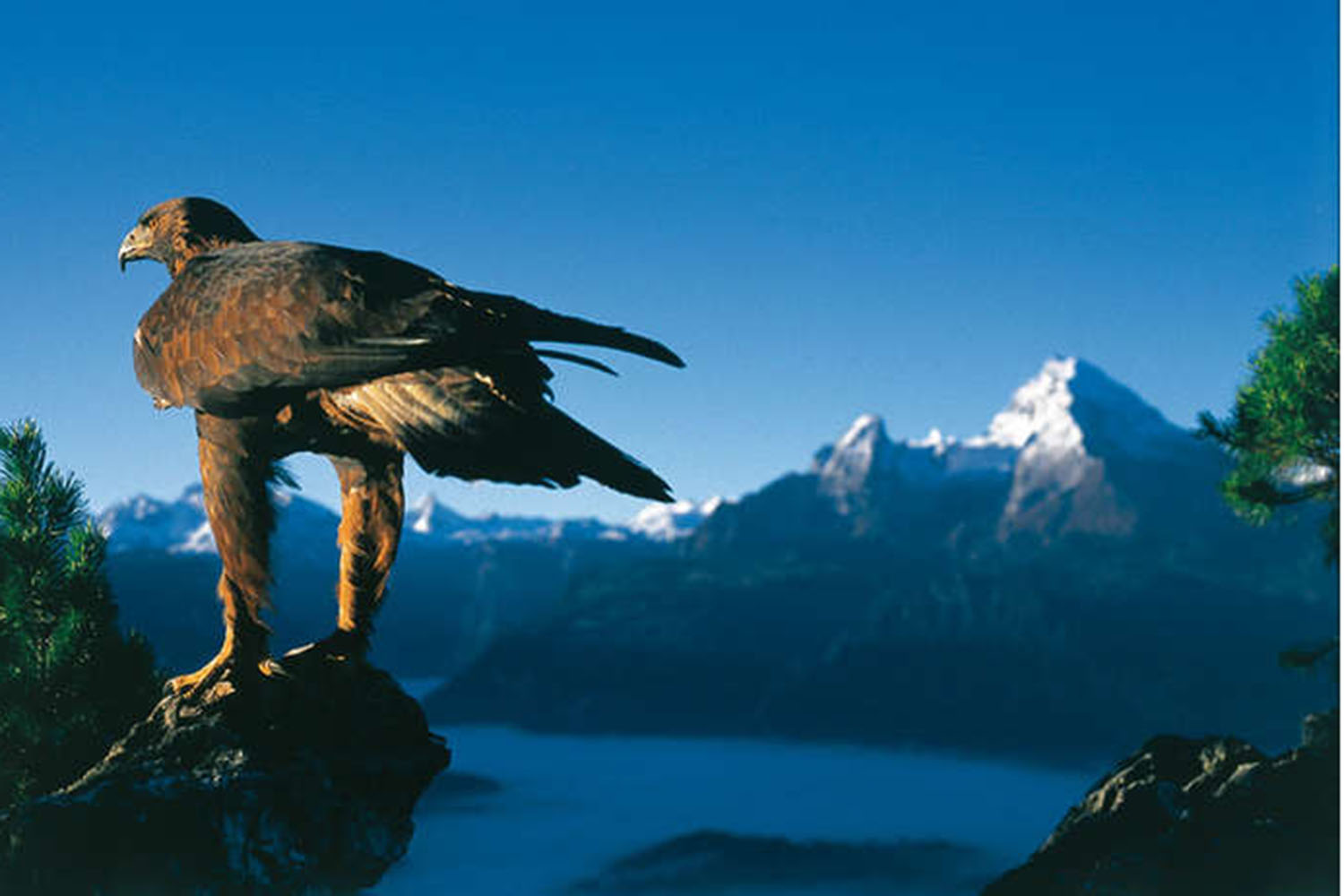 Blick über den Berchtesgadener Talkessel mit dem Watzmann und dem Steinadler