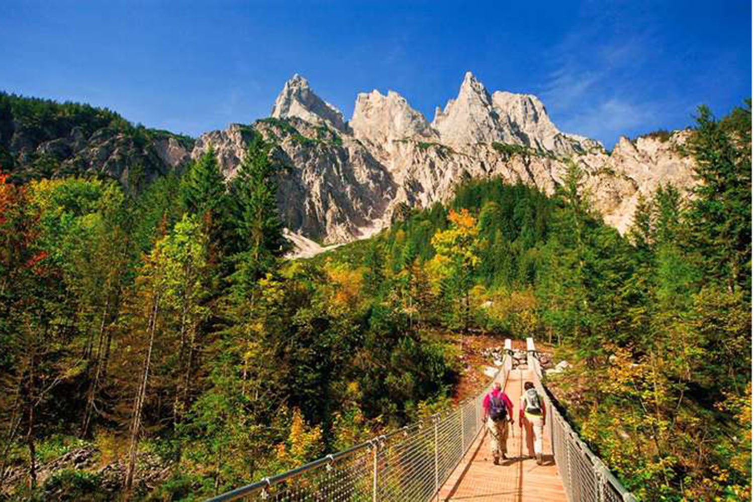 Blick über die Hängebrücke im Klausbachtal mit dem Mühlsturzhörner des Hagengebirges